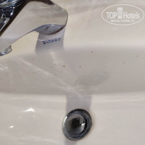 фото из отзыва ID 2271697