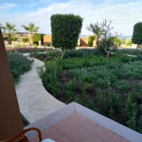 фото из отзыва ID 2271752