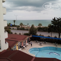 фото из отзыва ID 2271913