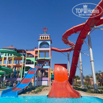 фото из отзыва ID 2271994