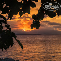 фото из отзыва ID 2272020