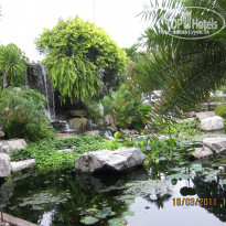 фото из отзыва ID 2272030