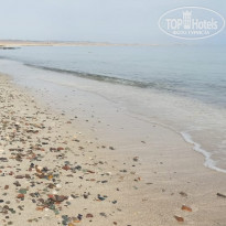 фото из отзыва ID 2272034