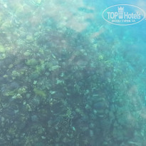 фото из отзыва ID 2272034