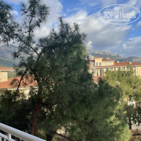 фото из отзыва ID 2272102