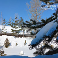 фото из отзыва ID 2272148