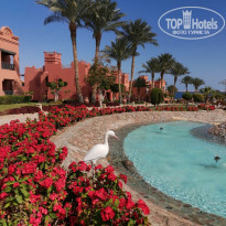 фото из отзыва ID 2272156