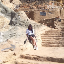 фото из отзыва ID 2272337