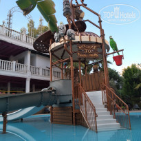 фото из отзыва ID 2272392