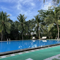 фото из отзыва ID 2272409