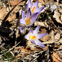 фото из отзыва ID 2272528
