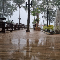 фото из отзыва ID 2272584