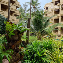 фото из отзыва ID 2272584