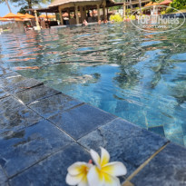 фото из отзыва ID 2272584