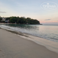 фото из отзыва ID 2272584