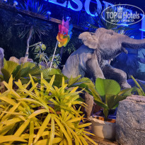 фото из отзыва ID 2272584