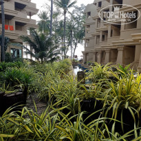 фото из отзыва ID 2272584