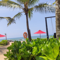 фото из отзыва ID 2272624