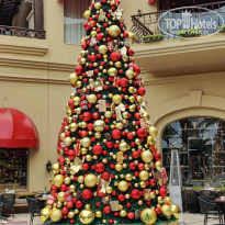 фото из отзыва ID 2272766