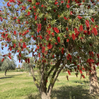 фото из отзыва ID 2272914