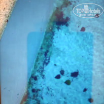 фото из отзыва ID 2272969