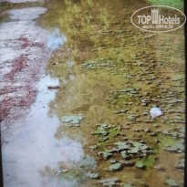 фото из отзыва ID 2272969