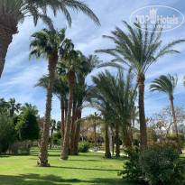 фото из отзыва ID 2273035