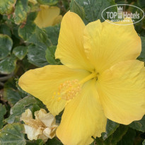 фото из отзыва ID 2273035