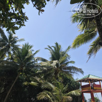 фото из отзыва ID 2273109