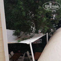 фото из отзыва ID 2273213