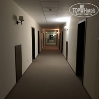 фото из отзыва ID 2273356