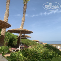 фото из отзыва ID 2273388