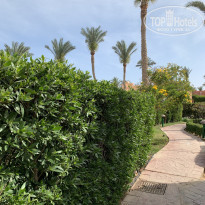 фото из отзыва ID 2273388