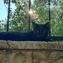 фото из отзыва ID 2273553