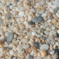 фото из отзыва ID 2273553