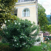 фото из отзыва ID 2273729