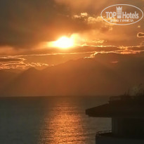 фото из отзыва ID 2273746