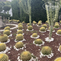 фото из отзыва ID 2273801