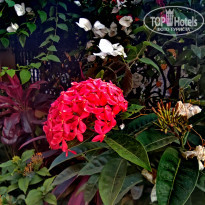 фото из отзыва ID 2273805