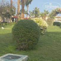 фото из отзыва ID 2273823