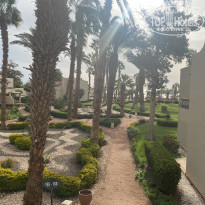 фото из отзыва ID 2273823