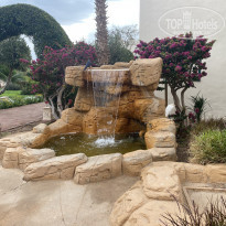 фото из отзыва ID 2273823