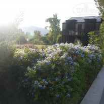 фото из отзыва ID 2273832