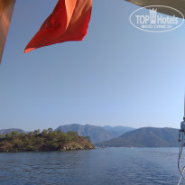 фото из отзыва ID 2273832