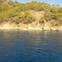 фото из отзыва ID 2273832