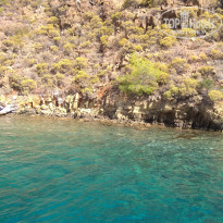 фото из отзыва ID 2273832