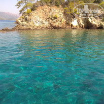 фото из отзыва ID 2273832