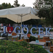 фото из отзыва ID 2273832