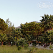 фото из отзыва ID 2273832