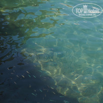 фото из отзыва ID 2273846